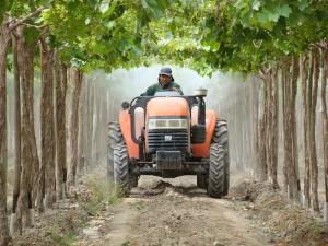 SIERRA PRODUCTIVA MEJORA LA CALIDAD DE VIDA DE 45 MIL FAMILIAS