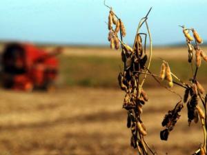 SIGNIFICANTES PÉRDIDAS ECONÓMICAS EN AMÉRICA LATINA POR “LA NIÑA”