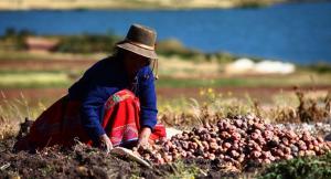 Solo el 21% de la superficie agrícola del país está en posesión de las mujeres