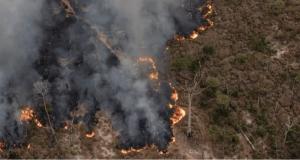 Suscriben convenio de cooperación para prevenir y reducir los incendios forestales