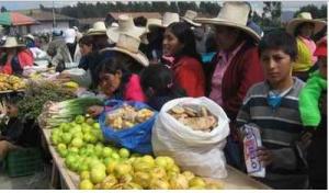 TACNA: FERIA “PERÚ MUCHO GUSTO”  AGRUPARÁ A PRODUCTORES AGRARIOS