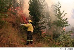 TEMPORADA MÁS DAÑINA DE LA ÚLTIMA DÉCADA DEBIDO A INCENDIOS FORESTALES