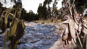 Terminó la temporada de lluvias… ¿y ahora?