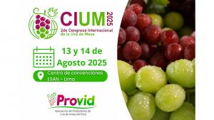 Todo va quedando listo para el II Congreso Internacional de la Uva de Mesa