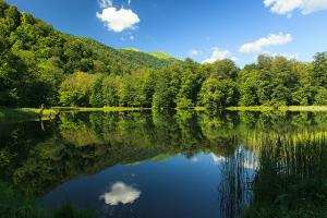 Tomar conciencia del ambiente