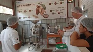 UE y San Martín consolidan la "Ruta del Cacao Circular" frente al reglamento de no deforestación