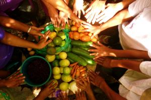 Un Comando para la Seguridad Alimentaria