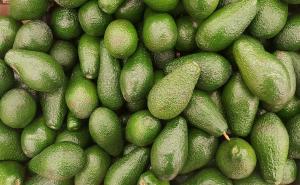 USDA: Producción de palta mexicana caerá 8% en la campaña 2021-2022