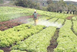 USO DE FERTILIZANTES SOBREPASARÁ LOS 200 MILLONES DE TONELADAS EN 2018