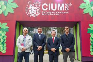 Uvas blancas sin semilla, especialmente las licenciadas, concentran el mayor volumen exportado por parte de Perú