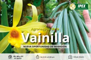 Vainilla: un agronegocio interesante de inversión