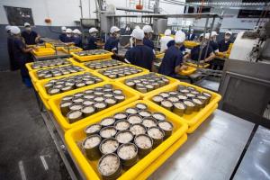 Valle Norte se abre a las conservas de pescado y aceites