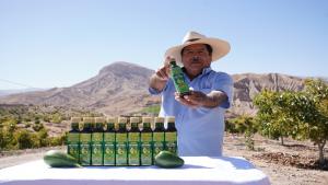 Valor agregado: convierten descarte de palta en aceite de exportación