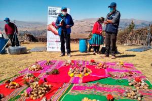 Valorización de nuestra biodiversidad frena pérdida de bosques amazónicos y es fundamental para sostener el desarrollo de las economías locales