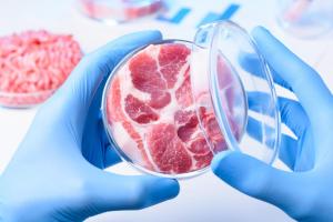 ¿Vamos a comer pronto carne artificial?