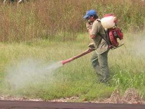 VENTA DE AGROQUÍMICOS CRECERÍA 4% ESTE AÑO