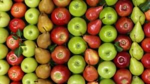 Wapa: existencias europeas de manzanas subieron 7% en junio de 2024