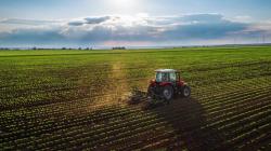 Agro a la vuelta de la esquina