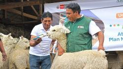 Agro Rural fortalece actividad agropecuaria de 12.000 pequeños productores en Arequipa