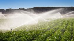 AGUA PARA LA AGRICULTURA DEL PERU: URGE POLITICA DE ESTADO 2027-2036