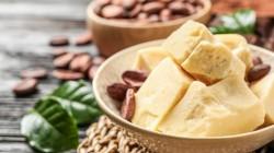 Aprueban documentos técnicos para mejorar la calidad y seguridad del cacao, granos y otros