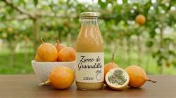 Aprueban norma técnica para la elaboración del zumo y néctar de granadilla