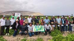 Arequipa: Capacitan a productores de Camaná para mejorar calidad genética del frijol