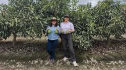 Asociación Ediflor comercializó 54.66 toneladas de palta Hass a empresas agroindustriales