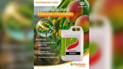 Carotenoides como alternativa Residuo Cero y el uso de Paclobutrazol en Mango