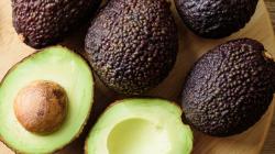 Chile cosecharía 200 mil toneladas de palta Hass en la campaña 2024/2025, lo que significaría un aumento de 33.3%