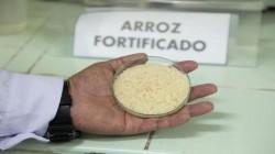 Comisión Agraria insiste en propuesta para impulsar la fortificación del arroz