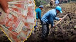 Conveagro insta al Congreso presupuesto de 200 millones de soles para el FIFPPA