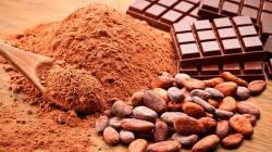 Despachos al exterior de cacao y sus derivados sumaron US$ 300 millones entre enero y mayo de 2024