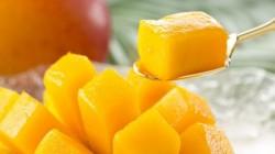 Despachos de mango en trozos tuvieron un notable descenso en 2024