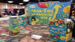 El mango “conquista y enamora” al sector minorista de Estados Unidos