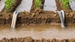 Evitar la impunidad por el mal uso del agua