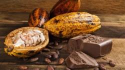 Exportaciones peruanas de cacao y derivados alcanzarían las 160 mil toneladas por alrededor de US$ 1.100 millones al cierre de 2024