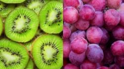 Fruticultura chilena crece 6,8% en la campaña 2025-2026 e impulsa sus envíos a mercados clave 