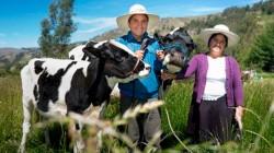 Ganaderos exigen al Midagri derogatoria de la R.M. 343-2025