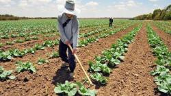 Gestión pública para el futuro del agro