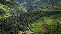 Hacía un enfoque de sostenibilidad en la producción de Selva