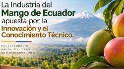 Industria del mango de Ecuador apuesta por la innovación y el conocimiento técnico