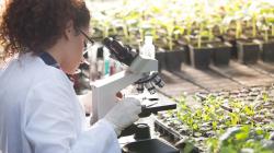 Las tecnologías agrícolas digitales crecen tres veces más rápido que la media ante el reto cada vez mayor de la seguridad alimentaria mundial