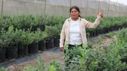 Más de 4 mil mujeres emprendedoras participaron de convocatoria EEMRI 2026