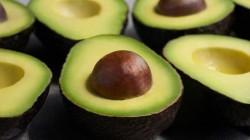 Mercado global de la palta superaría los US$ 35.000 millones para 2034