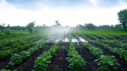 Midagri crea grupo de trabajo para reglamento de ley que promueve agricultura moderna