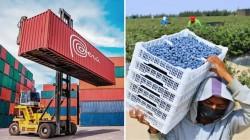 Perú: Regiones representaron más del 86% del total exportado en el primer trimestre de 2026