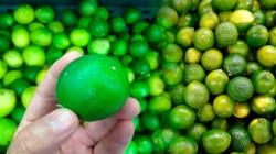 Piura concentró el 76.7% del valor de las exportaciones de limón tahití de Perú en 2025