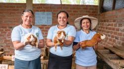 Presentan libro: “Lecciones de sostenibilidad comercial para la agricultura familiar en el Perú”