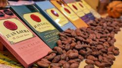 ¿Quiénes fueron los líderes en la exportación de productos derivados del cacao peruano en 2024?